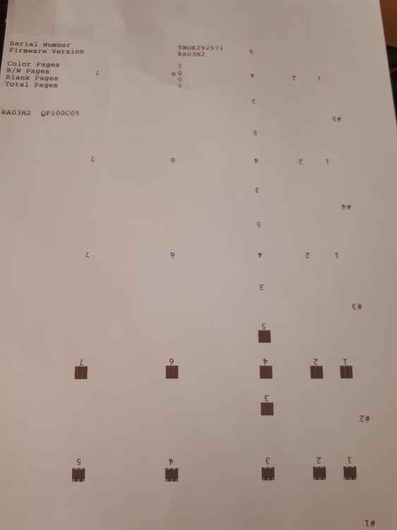40bdbadc-8059-4b90-9b5c-bd4ab00bf2ff.jpg