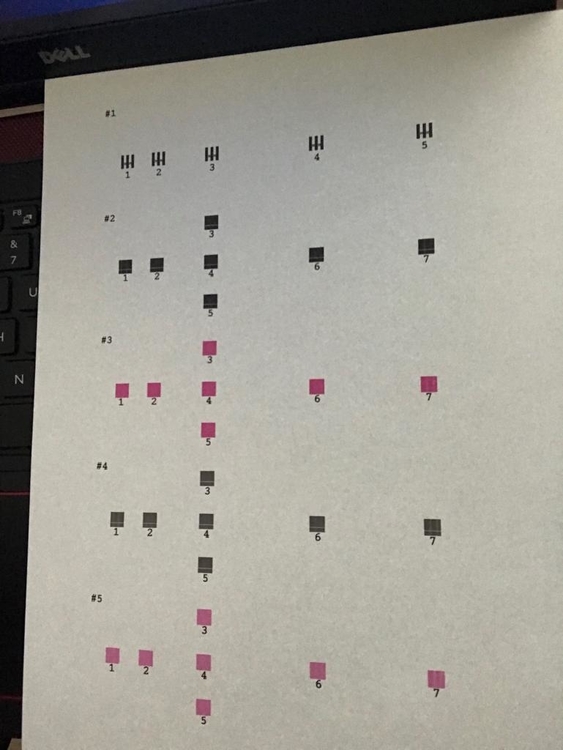 1140837454_WhatsAppImage2019-01-14at15_30_31.thumb.jpeg.e56b8f550e4289658f4849c9c7367052.jpeg