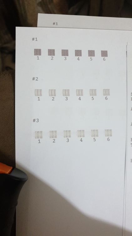 IMG-20190926-WA0281.jpeg