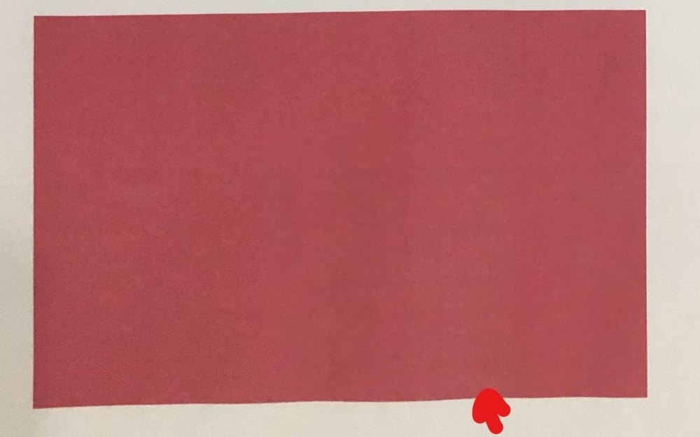 rosa.jpg