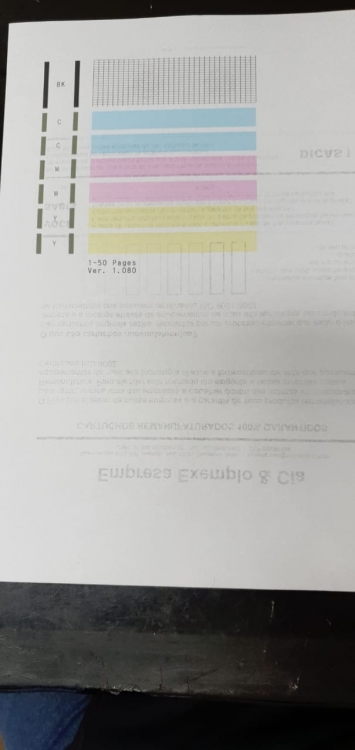 1311794337_Veridicao.thumb.jpeg.90a62f15b43af920b8d9e65f3fb97b14.jpeg