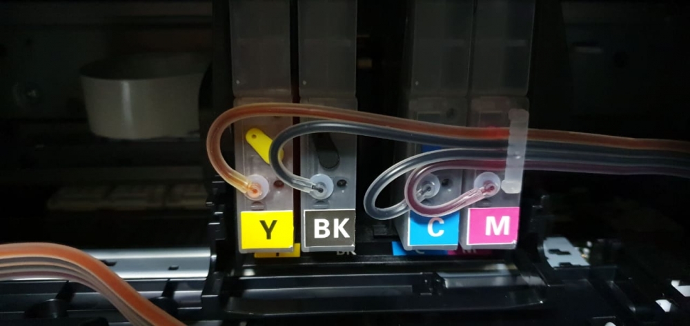 Mangueira 1.jpeg