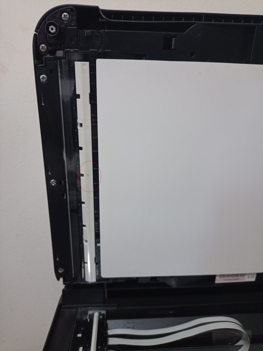 image.thumb.jpeg.b723bd3c51bc36ec20a40eb5a1518030.jpeg